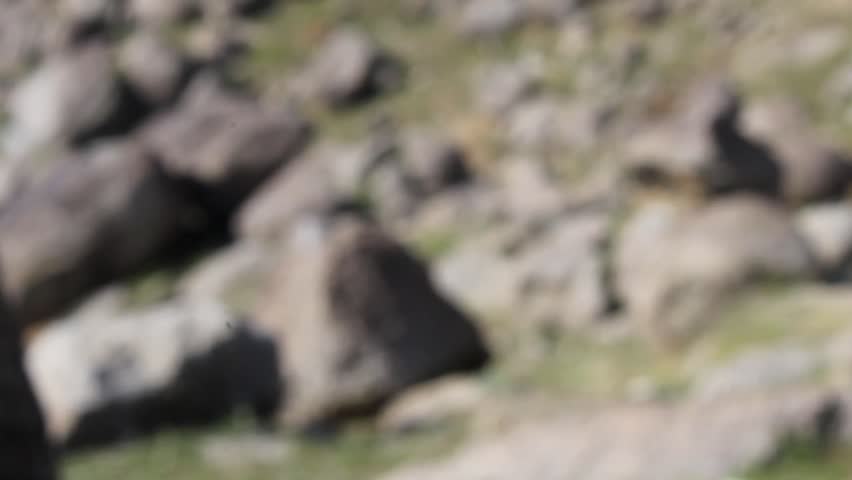 A footage of Rocky mountain, having large Stones or Boulders