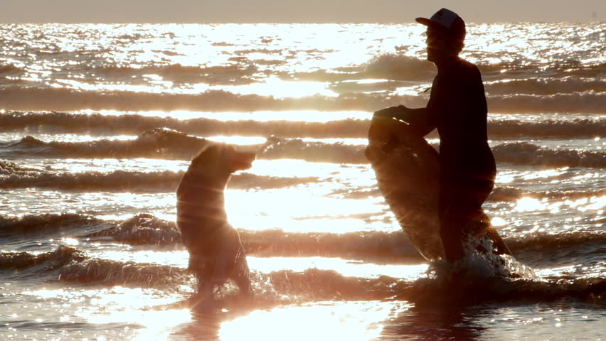silhouette of a surfer and their dog enjoying the beach at sunset. The sun glistens on the water, highlighting the joyful interaction between the two against the backdrop of waves and golden light