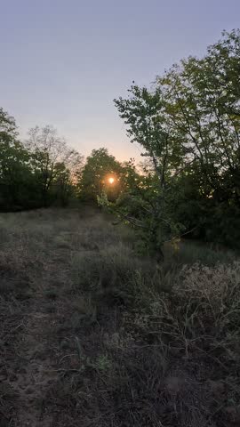 sunset on the river. sunrise on the lake shore. sun behind the trees. beautiful natural landscape with sunset and water. high definition video. sun glare on water. dark water in the river.