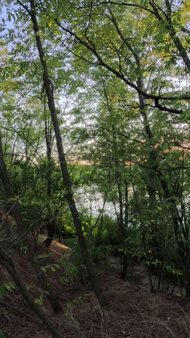 sunset on the river. sunrise on the lake shore. sun behind the trees. beautiful natural landscape with sunset and water. high definition video. sun glare on water. dark water in the river.