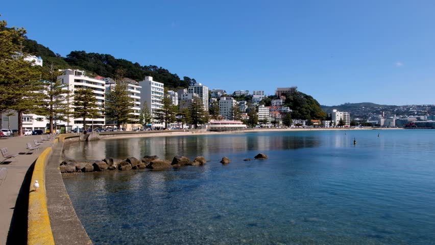 Stunning view of Wellington