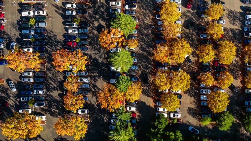 Cars parked in a parking lot, Magnificent looking trees in Autumn, A wonderful view, Aerial 4K Time Lapse
