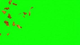 autumn leaves transitions 4k with transparency - Powered by Shutterstock - Get 15% off with code: PIKWIZARD15