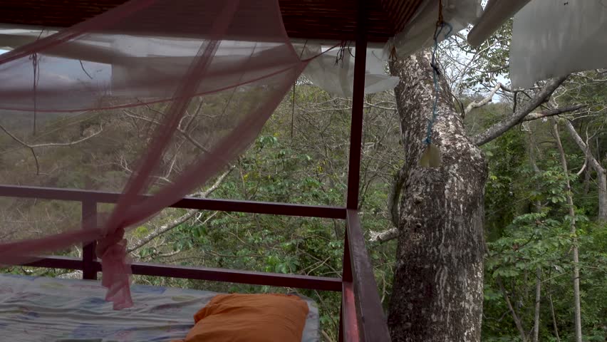 Panning past a bed with a mosquito net in a treehouse overlooking the Jungle