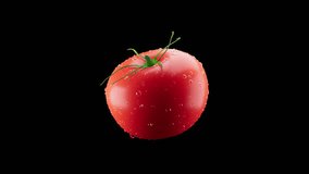 3D animation of a red tomato rotating around its axis. Tomato slowly rotates 360 degrees. File contains Alpha Channel. - Powered by Shutterstock - Get 15% off with code: PIKWIZARD15