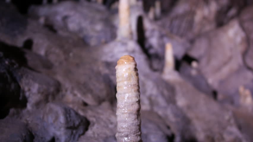 A single stalagmite rising from the cave floor, its surface glistening with moisture. The background fades into the dimly lit cave, emphasizing the texture and growth of the mineral formation