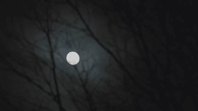 A Haunting Image Of Bare Tree Branches Reaching Toward The Full Moon, Creating An Eerie Halloween Atmosphere Beneath The Blue Winter Sky. - Powered by Shutterstock - Get 15% off with code: PIKWIZARD15