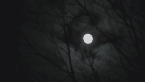 The Winter Night Sky Illuminates A Spooky Scene Of Bare Branches And A Bright Full Moon, Casting An Eerie Glow Through The Clouds. Spooky Bare Branches Against Full Moon On A Halloween Night. - Powered by Shutterstock - Get 15% off with code: PIKWIZARD15