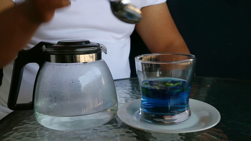 Making blue tea from butterfly pea flowers