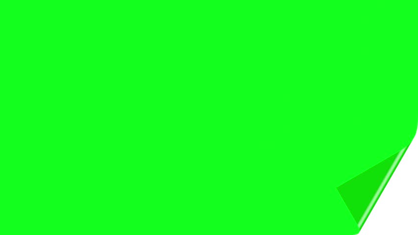 Shutterstock Video