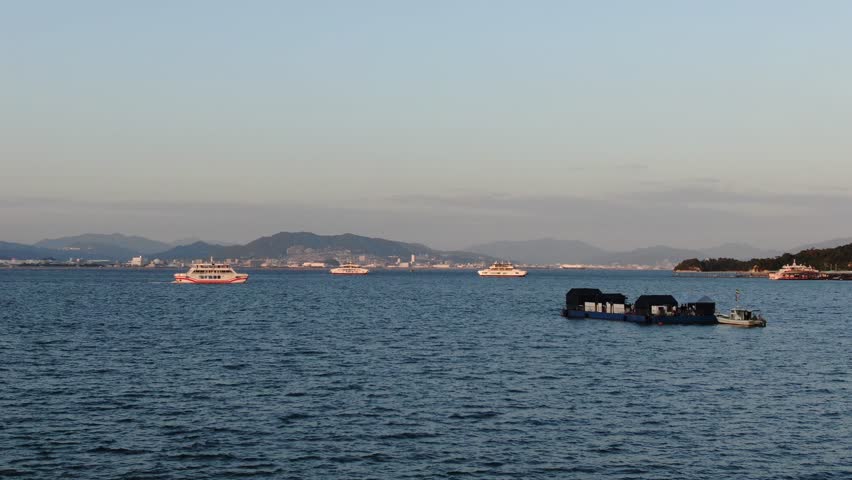 A floating restaurant offers a unique dining experience where you can enjoy fresh seafood on the sea. 