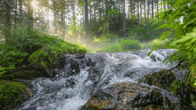 Stream with clear water in magical forest. Gimbal slow motion shot of beautiful foggy morning in summer wood. Morning sun breaks through tree branches, illuminating river and green leaves of trees - Powered by Shutterstock - Get 15% off with code: PIKWIZARD15