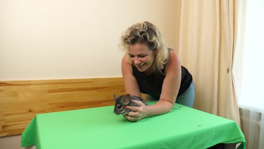 People care for and play with chinchillas.
