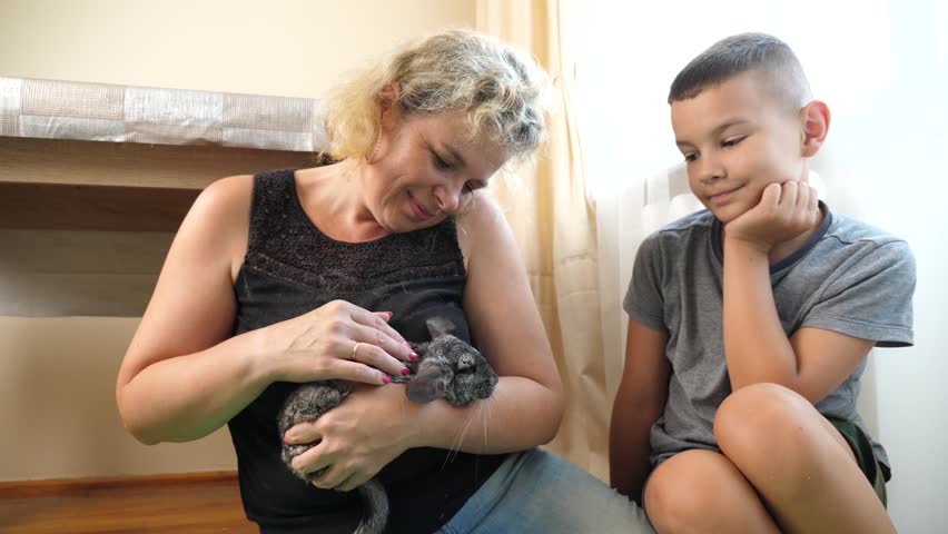 People care for and play with chinchillas.