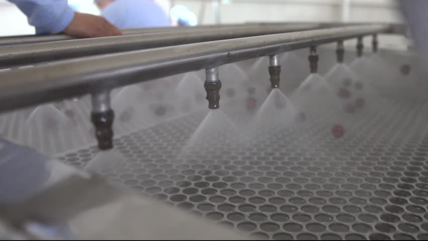 fresh red cherries washing process, fa01