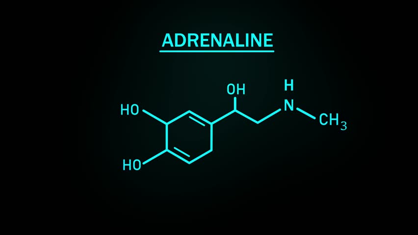Adrenaline or Epinephrine Molecular Structure Symbol Sketch or Drawing Animation on Black Background and Green Screen