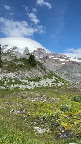 Mount Rainier National Park in August