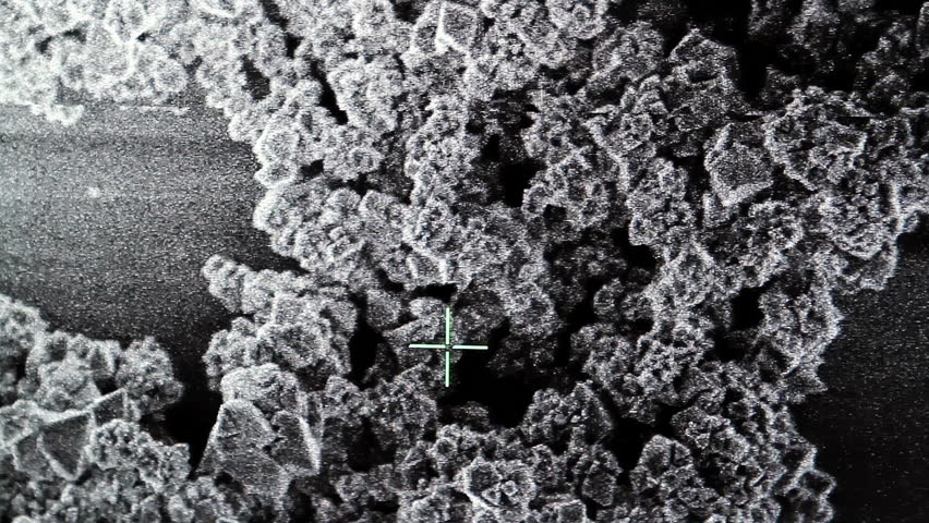 Scanning Electron Microscope (SEM) Image of a Magnified Sample in the ...