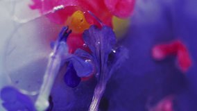 Vertical video. Defocused pink purple green blue color glossy flower shimmer particles oil gel bubble abstract art background. - Powered by Shutterstock - Get 15% off with code: PIKWIZARD15
