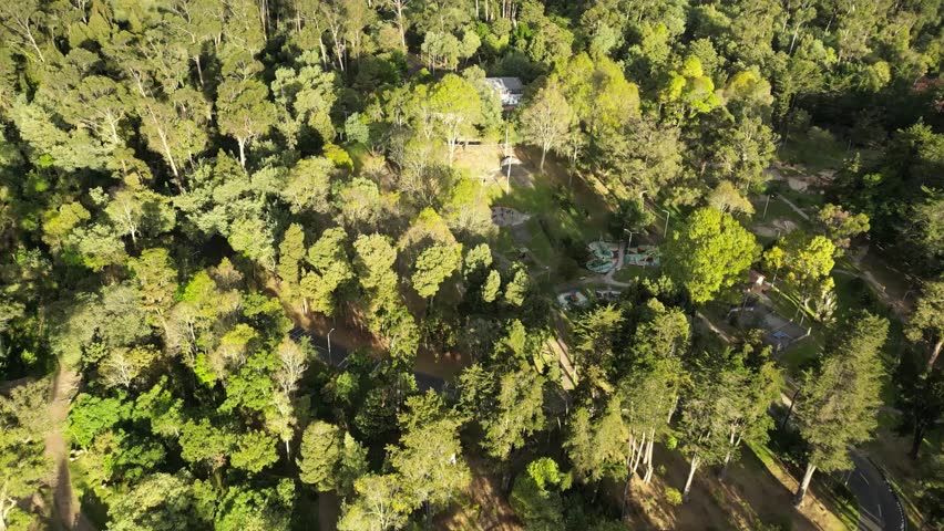 Bogotá National Park. Colombia South America