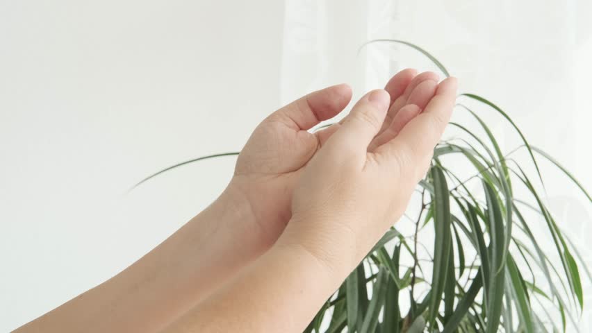 close-up hands elderly woman on light background, Aging and beauty, graceful wrinkles, anti-aging cosmetology, applying moisturizer, concept care aging skin, treatment dermatological diseases