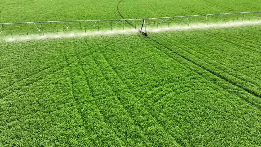 Aerial shot of the sprinklers watering Alfalfa on a circular farm in the Owens Valley in California