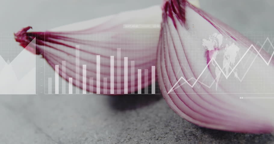 Graph and bar chart animation over close-up of sliced red onions. Data visualization, bar graph, statistics, infographic, analysis, purple