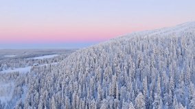 Panoramic drone shot circling over snowy hillside forest, winter sunrise in Lapland - Powered by Shutterstock - Get 15% off with code: PIKWIZARD15
