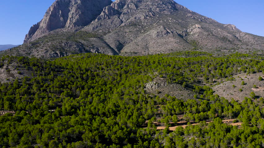 Aerial view of mount Puig Campana and pine forest around, next to Villajoyosa Village in the Mediterranean Sea, Alicante, Spain.