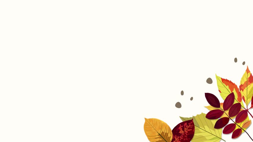 animated motion vector illustration of leaves with autumn concept. Animation of the beauty of leaves dancing gracefully in autumn. The beauty of falling maple leaves