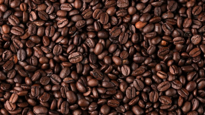 Field of coffee beans rotates,