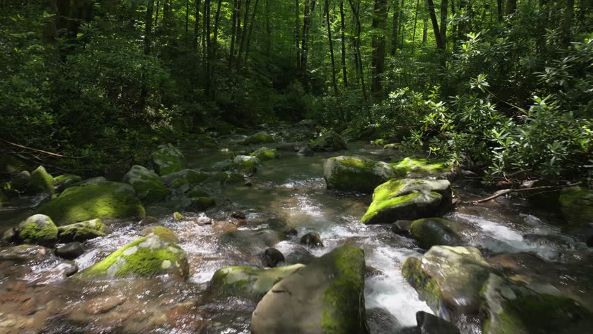 A drone footage of a wooden bridge over Cosby Creek
in Smoky Mountains National Park, United States