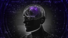 Futuristic 3D Rendering Of A Human Head With Transparent Skull Revealing The Brain, Surrounded By Digital Neural Networks And Circuits. High-Tech Brain Mapping, Neuroimaging, Artificial Intelligence. - Powered by Shutterstock - Get 15% off with code: PIKWIZARD15