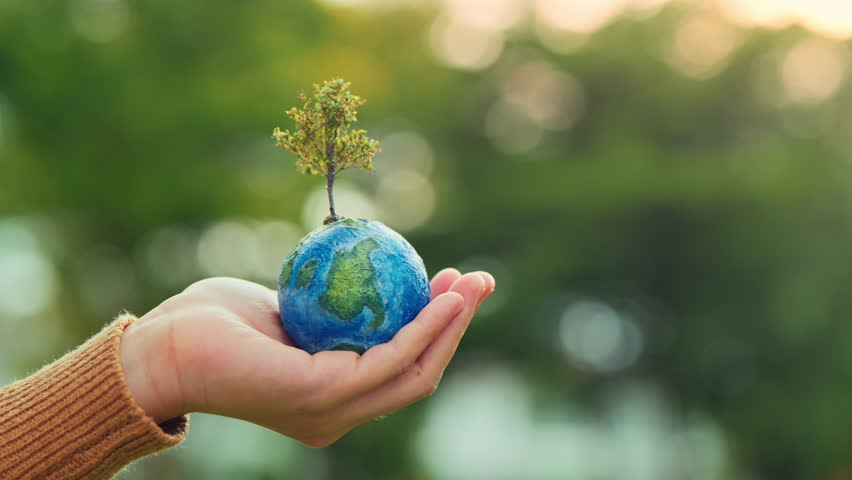World environment day, B roll - hands of woman holding globe with tree on green tree bokeh background, ecology concept, earth day, Better Environment, copy space.