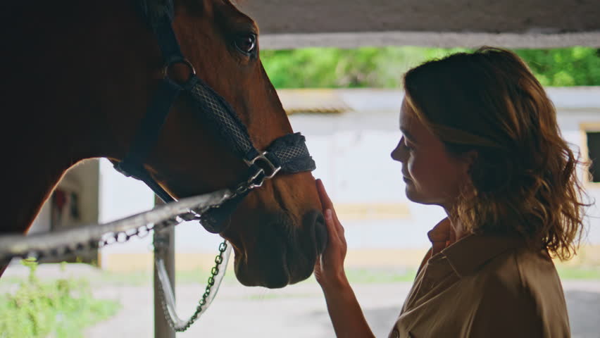 Serene cowgirl caressing horse at sunny paddock closeup. Happy calm brown animal enjoy owner love standing at light barn. Loving woman stroking healthy fur beloved pet portrait. Companionship concept