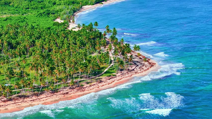 Beautiful palm beach from a bird's eye view. Caribbean Sea, Dominican Republic, aerial view. Drone view flying over tropical blue ocean towards sandy beach. Amazing island beach.