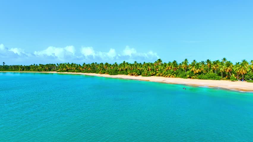 Tropical beach nature in summer landscape with palm trees and calm sea for relaxation. Exotic Limon beach on a sunny day in Dominican Republic. Luxurious tourist landscape, beautiful place for rest.