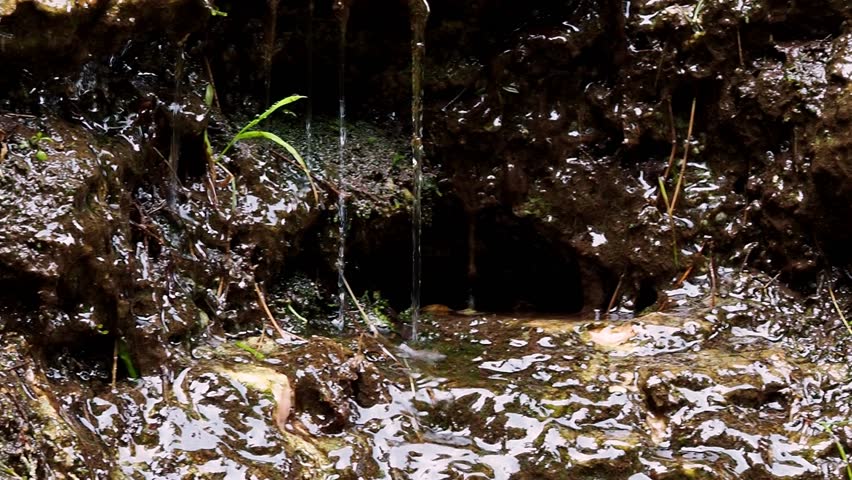 Small cave in an old canyon after the rain.