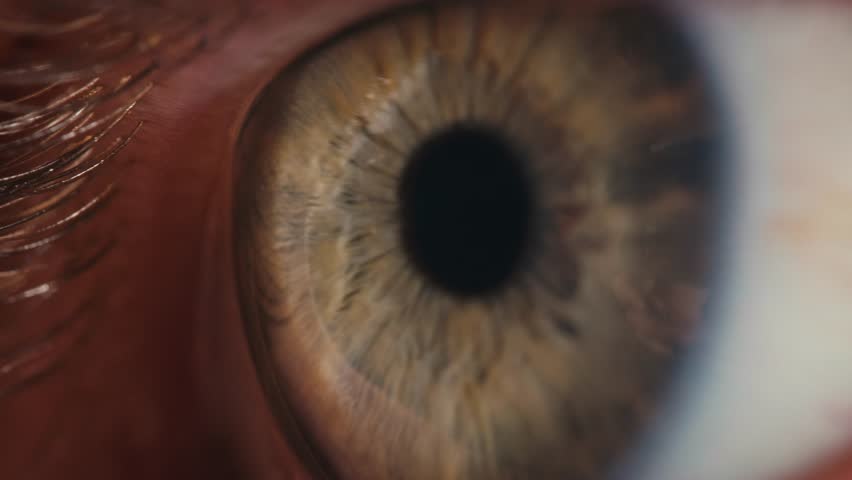 Man eye macro, Detailed closeup macro a human blue eye showcases its intricate characteristics. Ophthalmology clinic, vision.