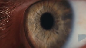 Man eye macro, Detailed closeup macro a human blue eye showcases its intricate characteristics. Ophthalmology clinic, vision. - Powered by Shutterstock - Get 15% off with code: PIKWIZARD15