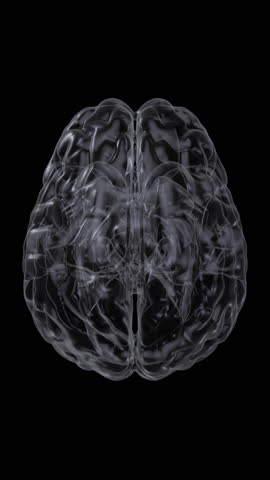 3D human brain with moving neuron signals. Reading neural signals through brain-computer interface. Neurotechnology conceptual animation. Vertical video