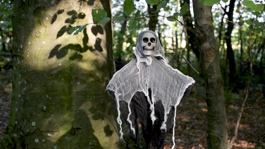 Halloween character in the forest
