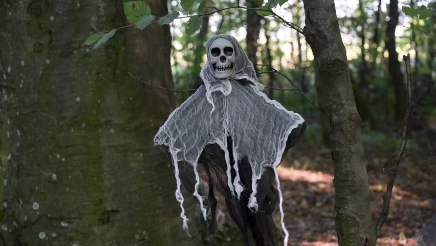 Halloween character in the forest