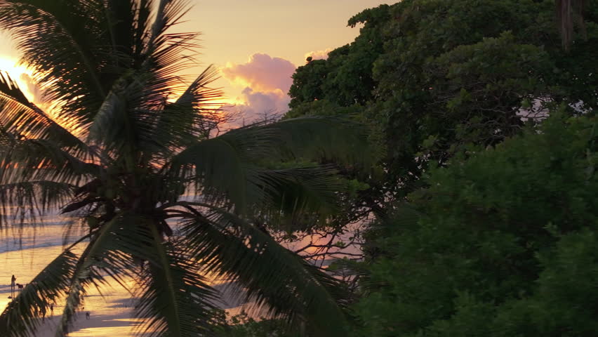 Behold a stunning aerial view of Playa Santa Teresa, capturing its serene beach, vibrant sunset, and lush tropical surroundings in the beautiful region of Puntarenas, Costa Rica, a true paradise