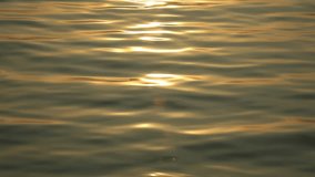 Scenic view of calm sea waves gently rolling golden hour, the soft light casting a warm glow on the water and sand, creating a peaceful and serene atmosphere. A calm zen moment concept - Powered by Shutterstock - Get 15% off with code: PIKWIZARD15