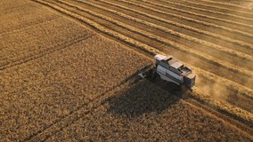 Field works combine harvester harvesting ripe wheat on agricultural farm field at golden sunset. Farmland, harvest using machinery equipment - Powered by Shutterstock - Get 15% off with code: PIKWIZARD15