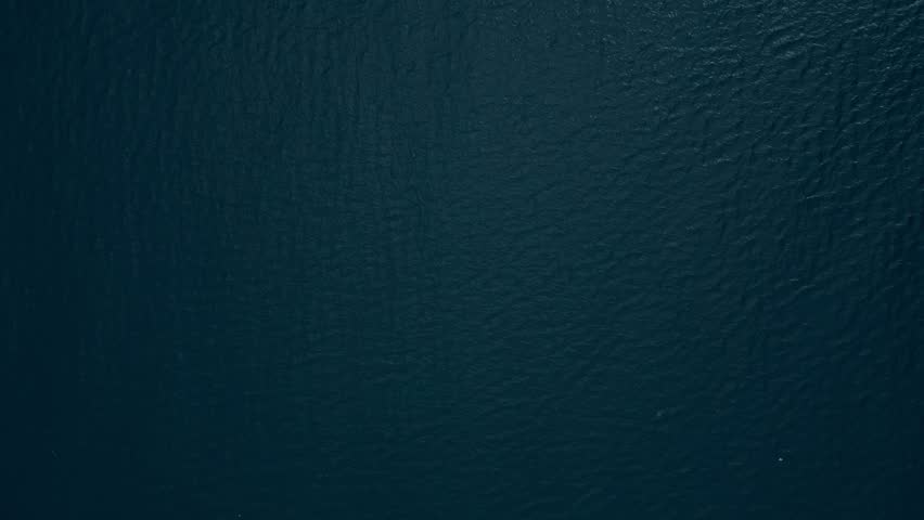 A container ship sails across the calm blue waters