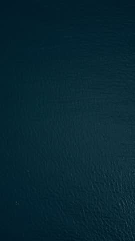 A container ship sails across the calm blue waters