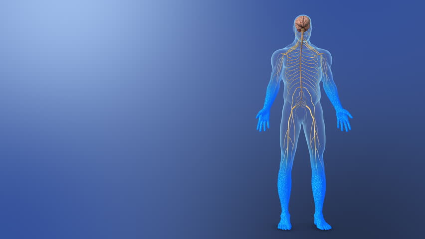 Peripheral Neuropathy with Sensory Nerve Damage and Tingling