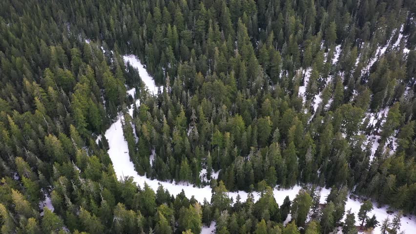  4k high quality aerial drone video footage of an evergreen tall forests with snow, captured at early spring, near Mount Hood, Oregon. Landscape, nature drone video for download.